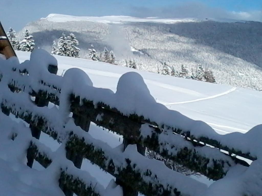 Hotel Garni Kostner Ortisei Esterno foto